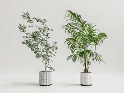 植物盆栽3D模型下载